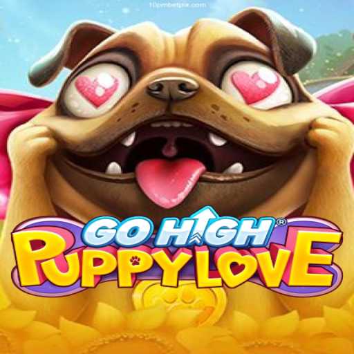 GoHighPuppyLove: A Journey into the World of Limitless Fun and Adventure