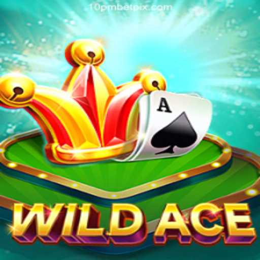 Discovering WildAce: The Captivating Casino Experience